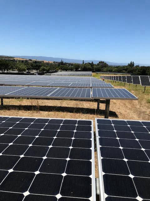 evergreen-college--flat-solar-panesl