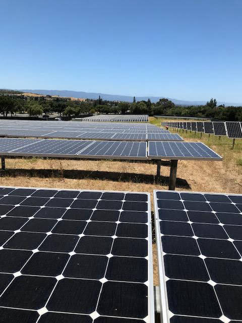 evergreen-college--flat-solar-panesl