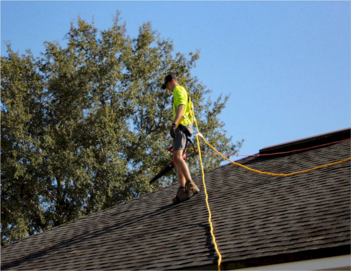 roof cleaning